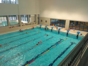 Plavecký bazén. Foto: (job)