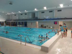 Slavnostní otevření bazénu. Foto: (job)